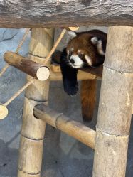 -Zoolung Zoolung动物主题公园(海信广场店)