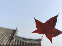-香山公园