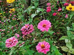 -上海浦江郊野公园-4号停车场