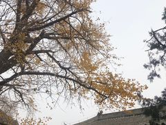 -红螺寺