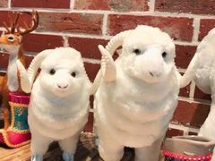 -草原塞蛮羊火锅城(港湾店)