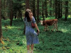 -硗碛藏寨·神木垒景区