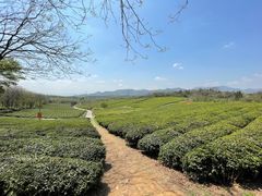 -宜兴龙背山森林公园