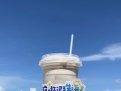-野狸岛