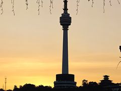 -船长9号·精致湖北菜(江滩店)