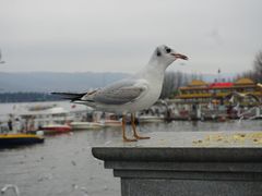 -滇池海埂公园