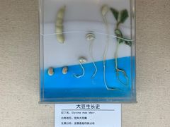 -青藏高原自然博物馆