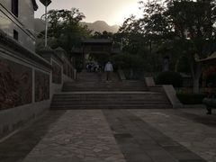 -阳台山自然风景区