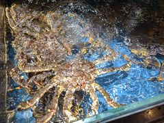 -綱元·海鲜豆捞(明州里店)