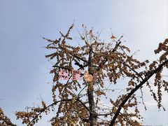 -国家植物园