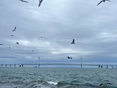 -星海广场