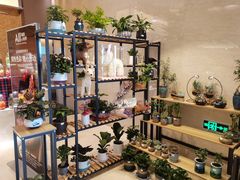 -鲁商铂尔曼大酒店·铂丽自助餐厅