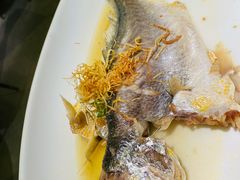 鸡汁蒸黄鱼-顺峰(农展馆店)