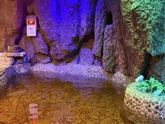 -观澜山水田园