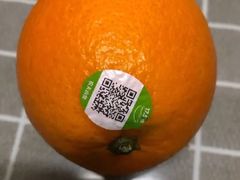 -上海龙吴水胜海发市场