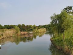 -南湖湿地公园