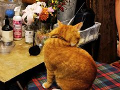 -花满楼(启秀路店)