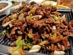 -大鸭梨烤鸭店(花园村店)