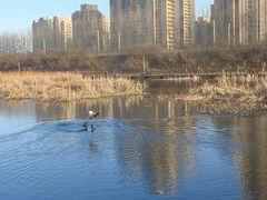 -前关湿地公园