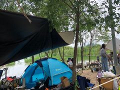 -绿堤公园