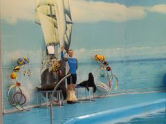 -尼莫海豚馆