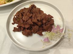 -新雅粤菜馆(南京东路店)