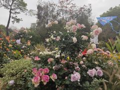 -人民公园(罗湖区)