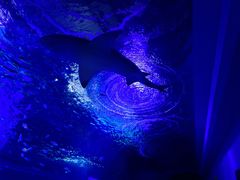 -常州海昌海洋探索馆