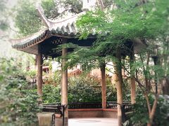 -华山儿童公园