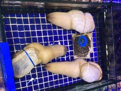 -青蓬蒸汽海鲜·深圳老字号·团建聚会(壹方城店)