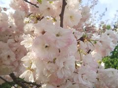 -济南国际园博园