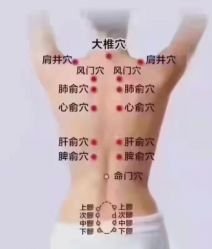 -香薇妮丝·定制减肥·身材管理