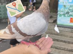 -赤坎·广东华侨国际旅游度假区