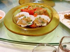 -金龙渔港(双楠店)