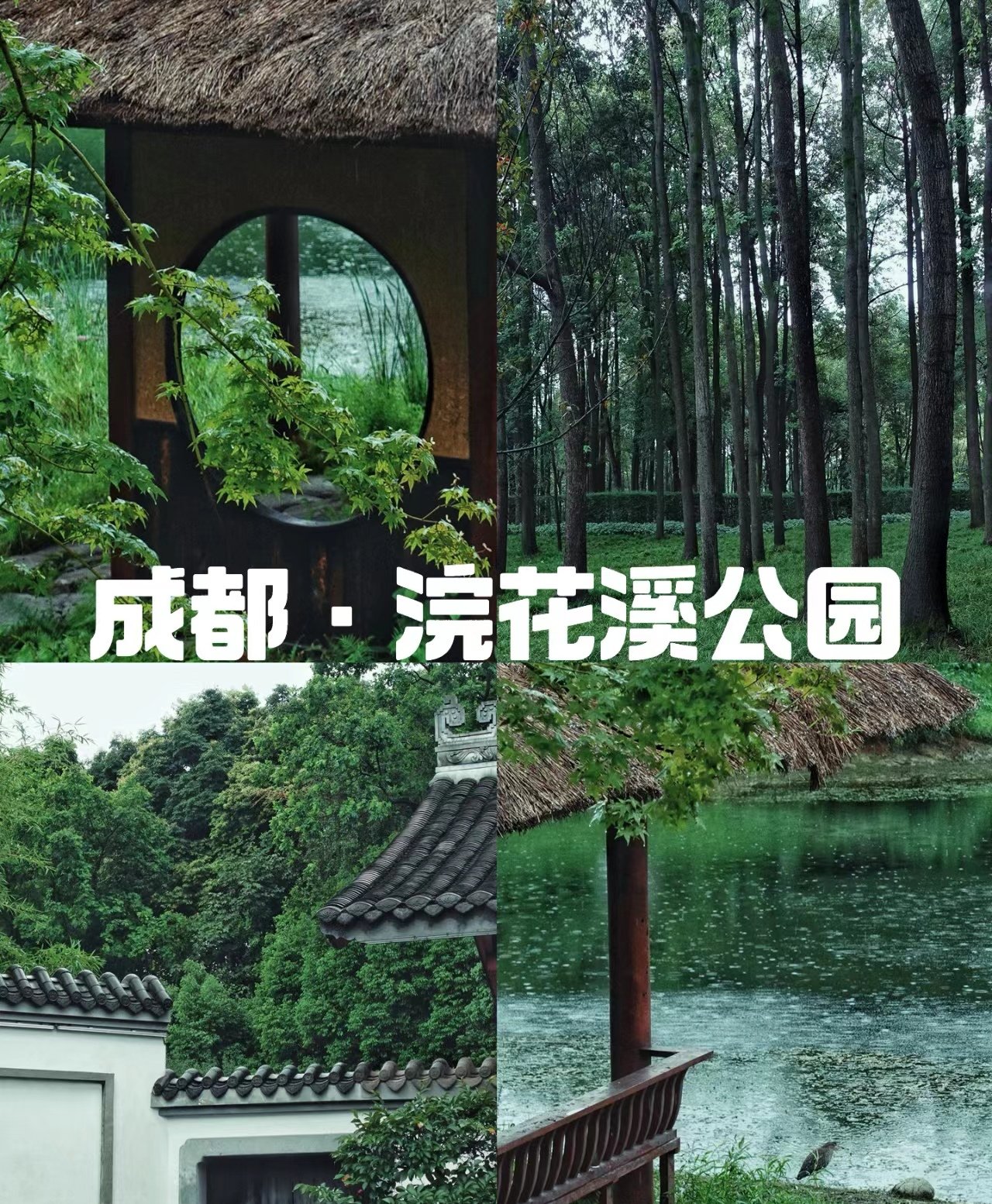 浣花溪公园景点介绍图片