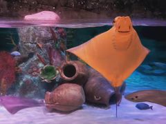 -沈阳海洋探索中心