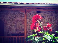 -梅黛奥拉修道院