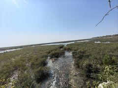 -北海金海湾红树林生态旅游区