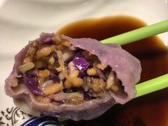 紫甘蓝锅巴馅饺子-宝源饺子(麦子店街店)