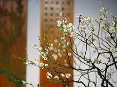 -苏州上方山国家森林公园