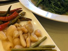 -月圆霖特色农家乐