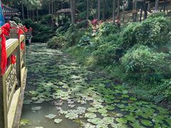 -海南文笔峰盘古文化旅游区