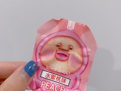 -嘉北郊野公园