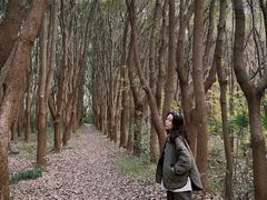 -同里国家湿地公园