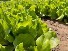 -北京大学(昌平校区)