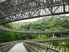 -福道