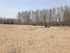 -东郊湿地公园