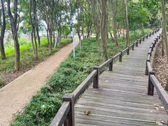 -洪泽湖古堰景区