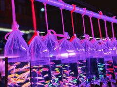 -华声天桥民俗文化园