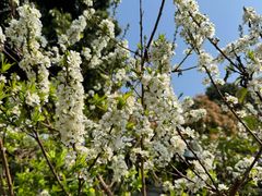 -风云岭森林公园